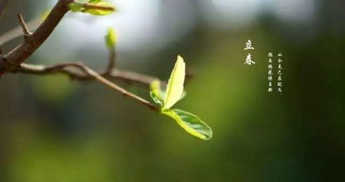 春回大地萬物復(fù)蘇，感恩一路有您相伴——第四屆江蘇優(yōu)質(zhì)農(nóng)產(chǎn)品（南京）展銷會(huì)圓滿落幕